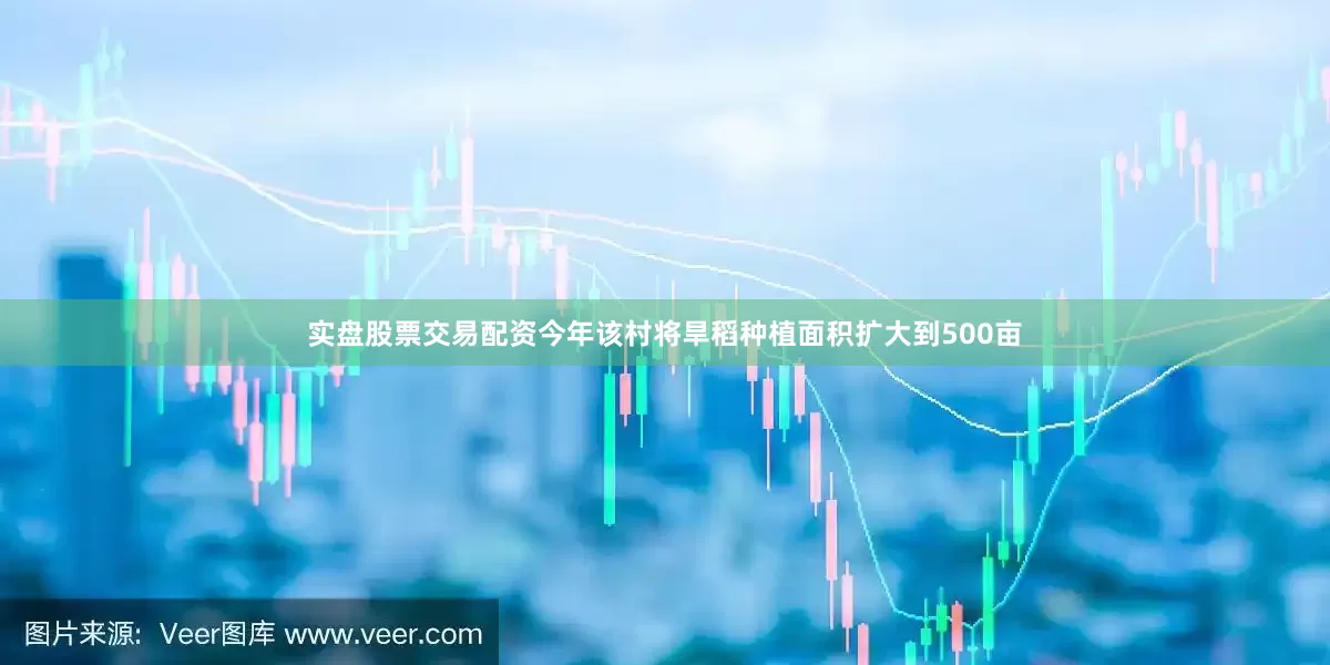 实盘股票交易配资今年该村将旱稻种植面积扩大到500亩